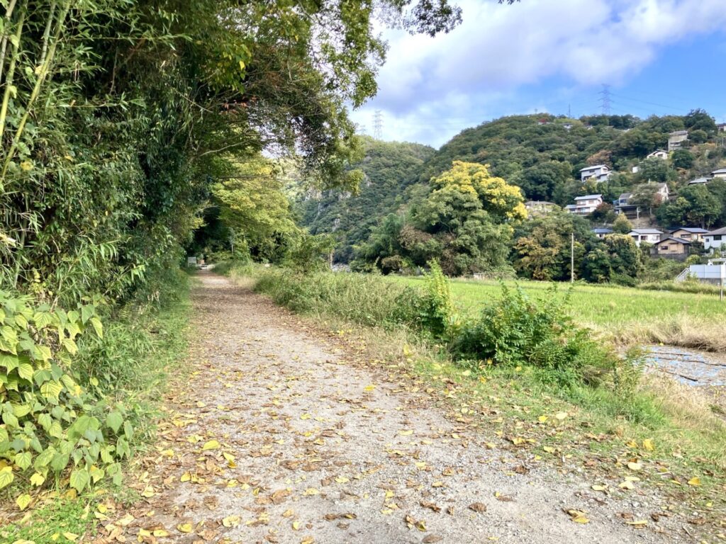 福知山線 廃線 入り口