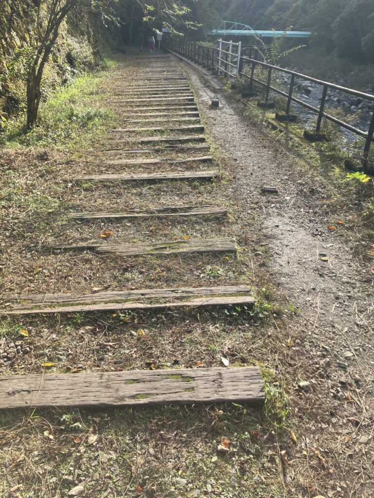 福知山線 廃線敷 枕木