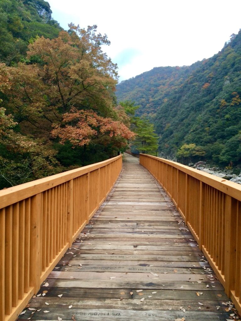 廃線ウォーク 入り口の橋