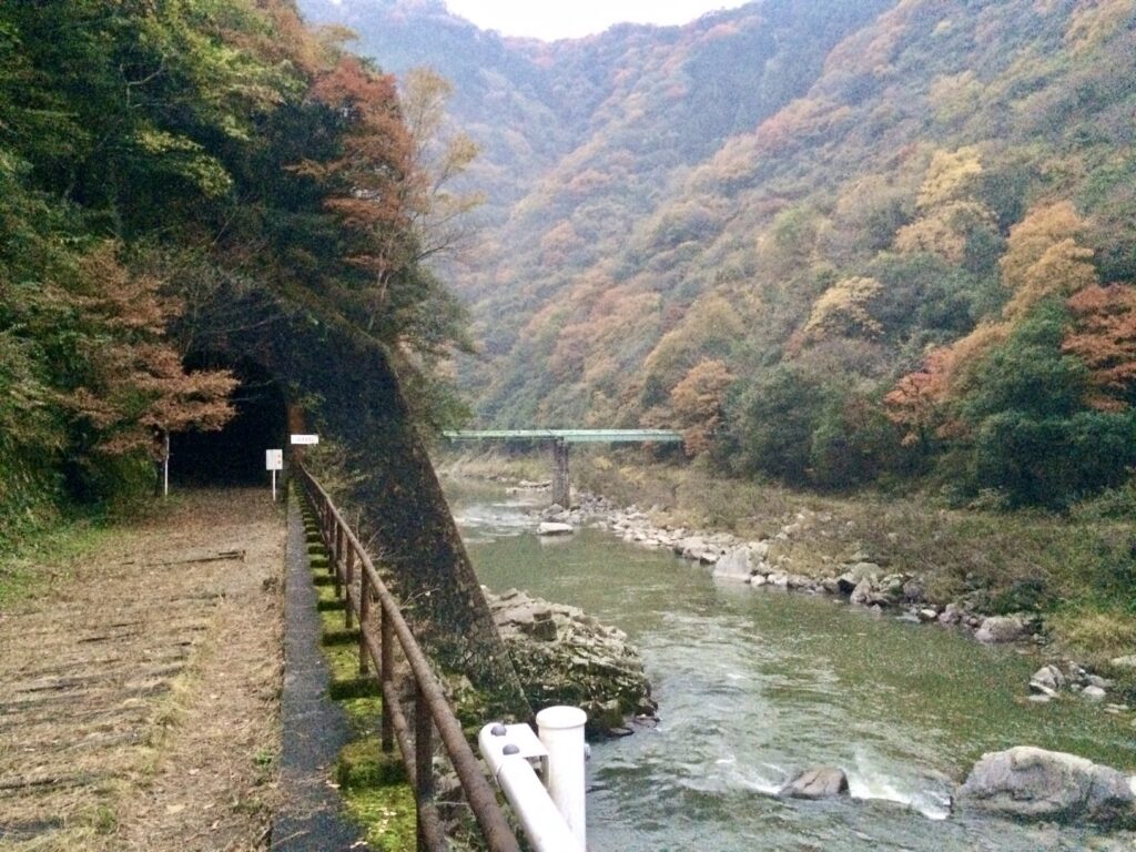 福知山廃線敷の紅葉