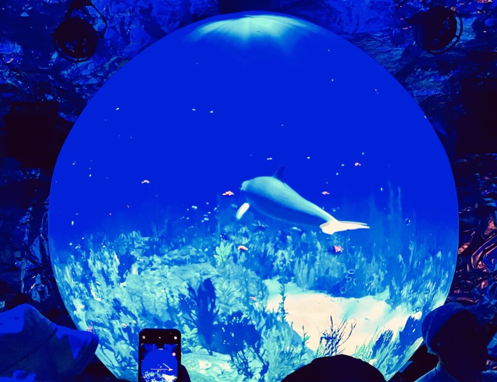 万博 クウェート館 地球