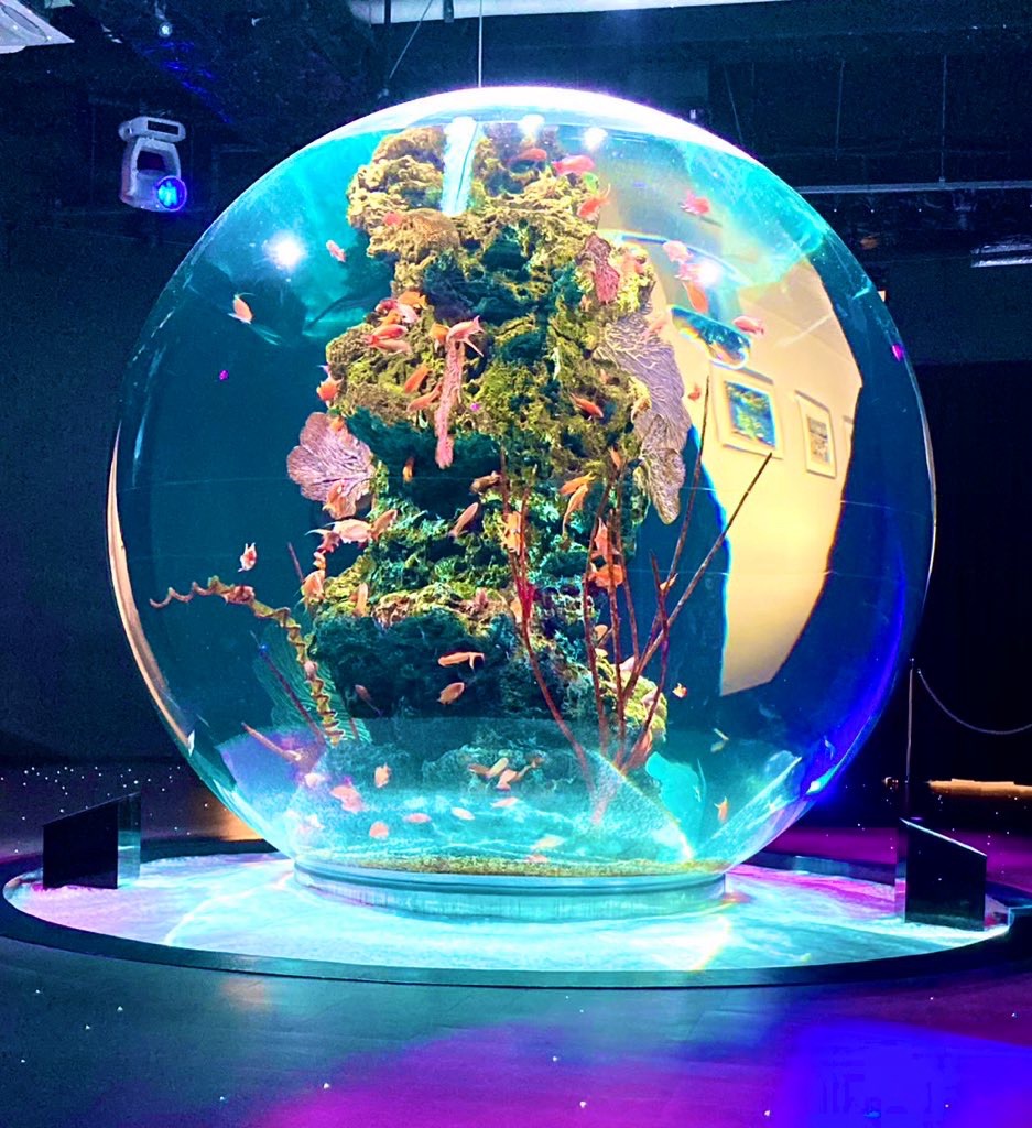 神戸 水族館 アトア