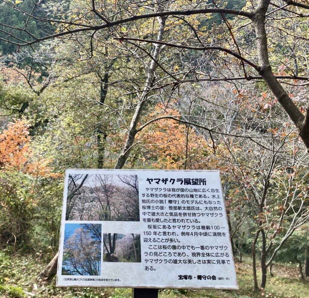武田尾 亦楽山荘 桜の展望台