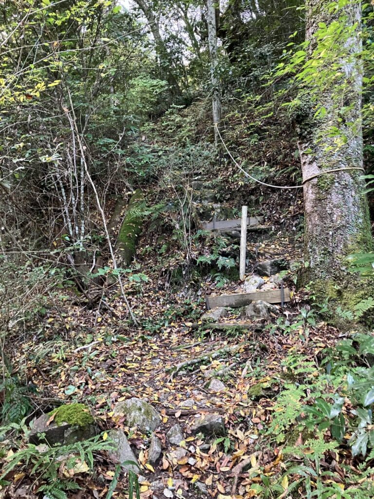 武田尾 亦楽山荘 山道