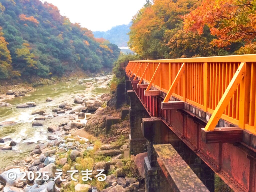 武田尾 廃線跡ハイキング 紅葉