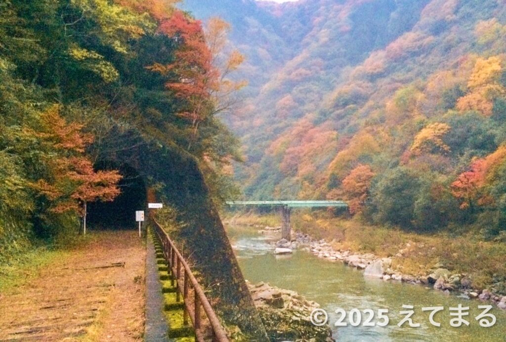 武田尾 廃線ウォーク　武庫川と紅葉